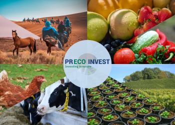 A New Humic Acid Solution from Europe: A Revolutionary Product for the GCC Market