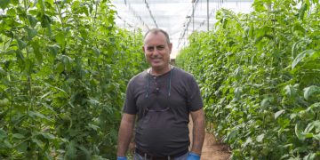 Growers making major savings with new crop solution