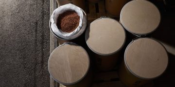 Enifer secures €12 million grant to build a first-of-its-kind mycoprotein ingredient factory