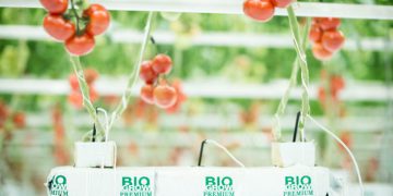 Biogrow: “Substrates created by growers for growers”