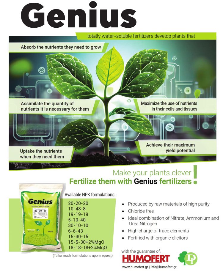 GENIUS: DISCOVER THE FERTILIZERS THAT MAKE PLANTS CLEVER IN NUTRIENT ABSORPTION