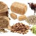 Animal Feed Probiotics is forecasted to expand at a CAGR of 6.6% from 2024 to 2034, Fact.MR