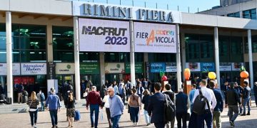 Macfrut Table Grape Symposium: table grapes, the star product at Macfrut 2024