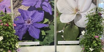 UK exhibitor group at IPM 2024 reports fruitful participation