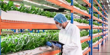 Emirates Flight Catering fully acquires Bustanica, the world’s largest indoor vertical farm