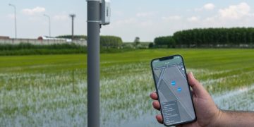 Sustainable rice paddies: Riso Gallo chooses xFarm Technologies’ digital solutions to digitalise its supply chain