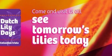 Dutch Lily Days: unique meeting place for breeders, growers and trade companies
