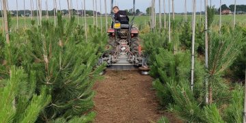 Mechanical Hoeing Machine For Orchard, Vineyard And Tree Nurseries