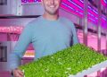 More efficient cultivation with controlled raising under LED lighting