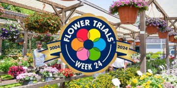 20 Years FlowerTrials®: From joint open days to prime event for assortment inspiration and networking