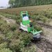 Innovation and Automation in Weed Control