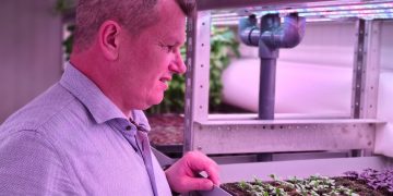 URBAN CROP SOLUTIONS PROMOTES MICROALGAE CULTIVATION
