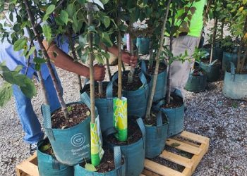 “Grow Beyond the Soil: Unleashing the Power of GrowinBags™ for Modern Agriculture”