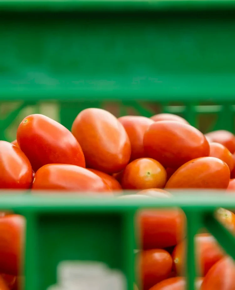 Source Cultivate Now Offers Pre-Season Simulations