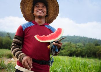 75 percent of farmers are open to innovation to cope with climate change, global research reveals