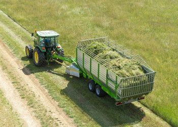 Tailor-made solutions for your farm: quality forage and aromatic herbs harvesting