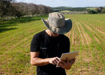 5 Reasons to Digitize Agronomic Field Trials