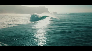 RDI System and date palms