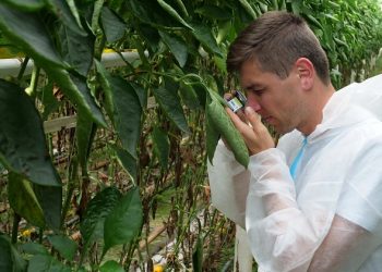 Vitaetom embraces Vespiformis-System and Bug-Scan® Green