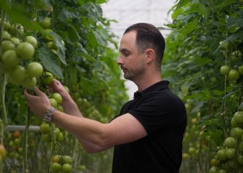 Breugem Horticulture: Keeping Up with Change & Customer Expectations with Source.ag’s Solutions