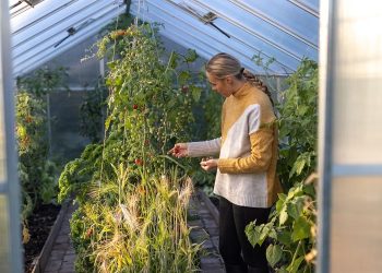 From 2% GDP Savings to 40% Water Reduction: Estonia’s Agri-Tech Impact on the GCC