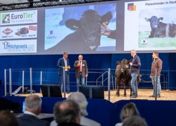EuroTier 2024: Trends in Cattle Farming and Feeding Technology