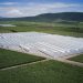 J. Huete Greenhouses to build new high-tech greenhouse in Japan for lettuce cultivation