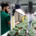 UNS Farms launches educational farm tours to Dubai
