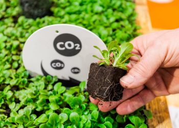 Program of the new Gardeners’ Forum at IPM ESSEN is released