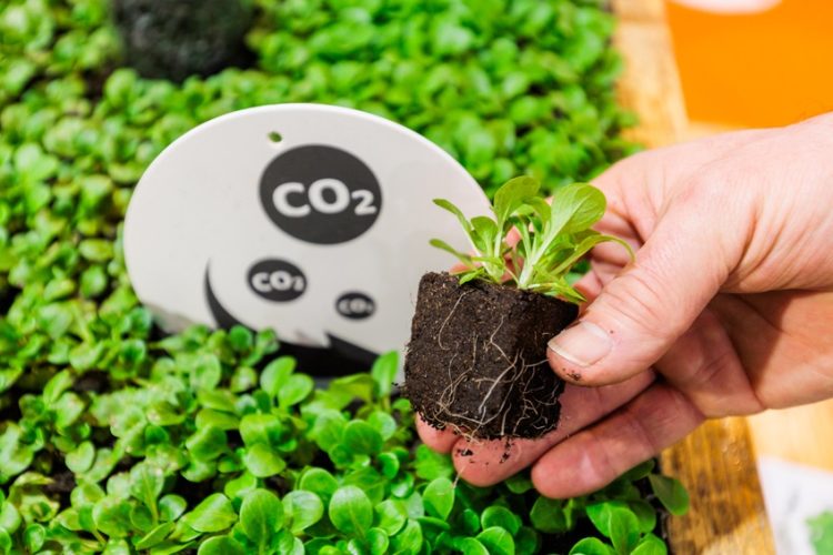 Program of the new Gardeners’ Forum at IPM ESSEN is released