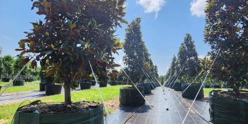 GROWINNOVATE : AN INDUSTRY LEADER