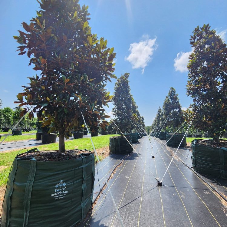 GROWINNOVATE : AN INDUSTRY LEADER