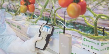 SAVE ENERGY IN GREENHOUSES WITHOUT AFFECTING PLANT ACTIVITY