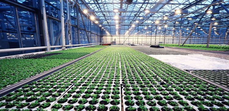 Divestment of the FoodTech Equipment offering completed