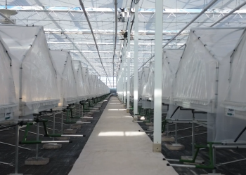 J. Huete Greenhouses updates a glass greenhouse for Planasa where raspberries will be grown