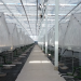 J. Huete Greenhouses updates a glass greenhouse for Planasa where raspberries will be grown