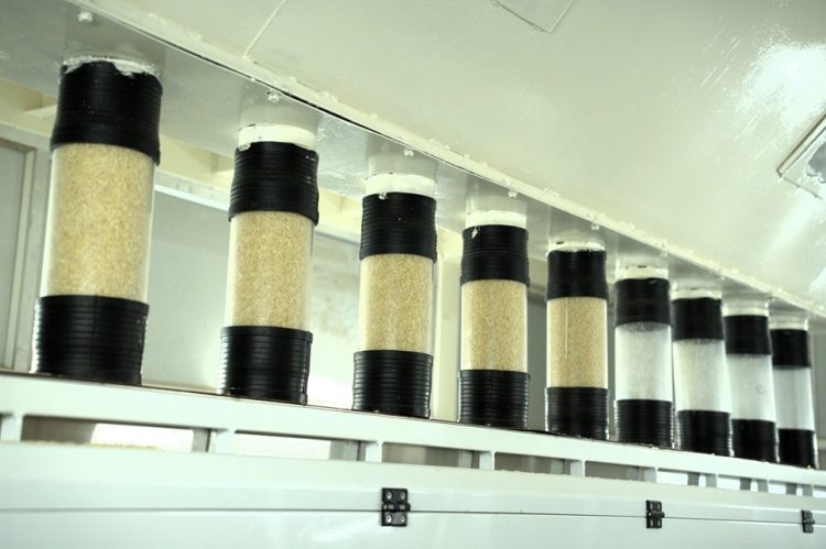 Gautam Rice Pioneers Artificial Intelligence Technologies to Ensure Optimum Grain Uniformity and Purity”