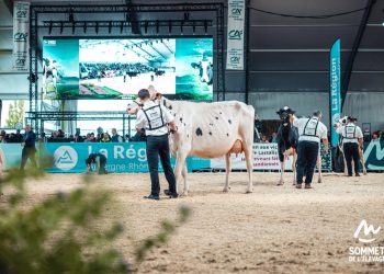 SOMMET DE L’ELEVAGE 2025: XXL SIZE AMBITIONS