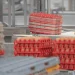 How to Reduce Egg Breakage with Giordano Handling Systems