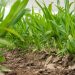 Regenerative Agriculture in Focus at Agritechnica 2025