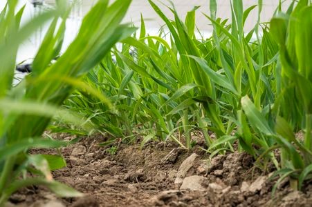 Regenerative Agriculture in Focus at Agritechnica 2025
