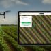 CultiWise: New AI lets farmers train weed recognition in real time