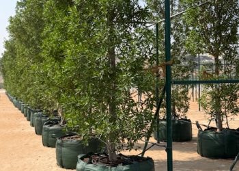 Supplying the Gulf’s Mega-Projects