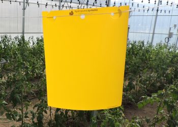 The Fastest Adhesive Trap to Set and With The Largest Sticky Surface Area Hits The Market