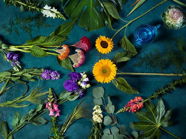 Evanthia Strengthens Growth Foundation By Splitting Into Two Specialized Companies: Evanthia Flowers B.V. and Evanthia Tropical B.V.