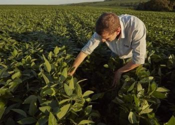 BASF Agricultural Solutions To Acquire Biological Insect Control Group AgBiTech