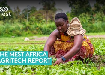 The Meltwater Entrepreneurial School of Technology (MEST Africa) Unveils AgriTech Report Mapping the Trends, Innovators, and Investment Opportunities Shaping the Future of West African Agriculture